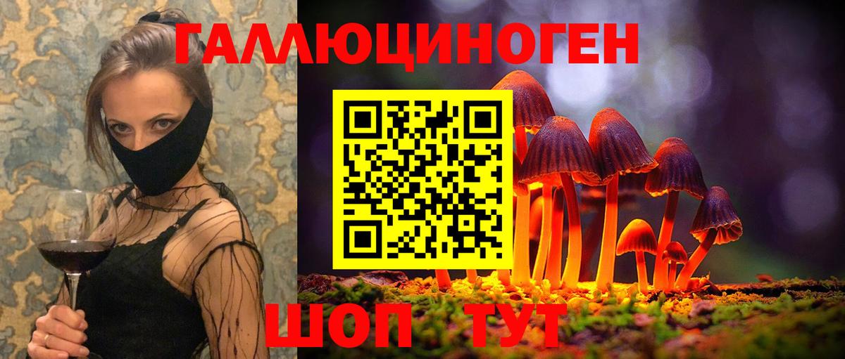 Псилоцибиновые грибы GOLDEN TEACHER Майский